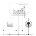 fwr1p-p-sch.JPG