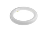 UM272.05 Świetlówka kołowa do lampy UM271.03, UM271.05, UM271.08 (22W T9)