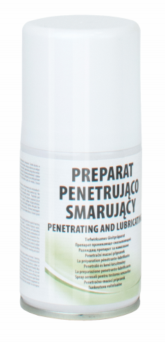 AG213 Preparat penetrująco-smarujący - spray 100ml 