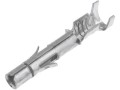 tecminterm-g08.jpg